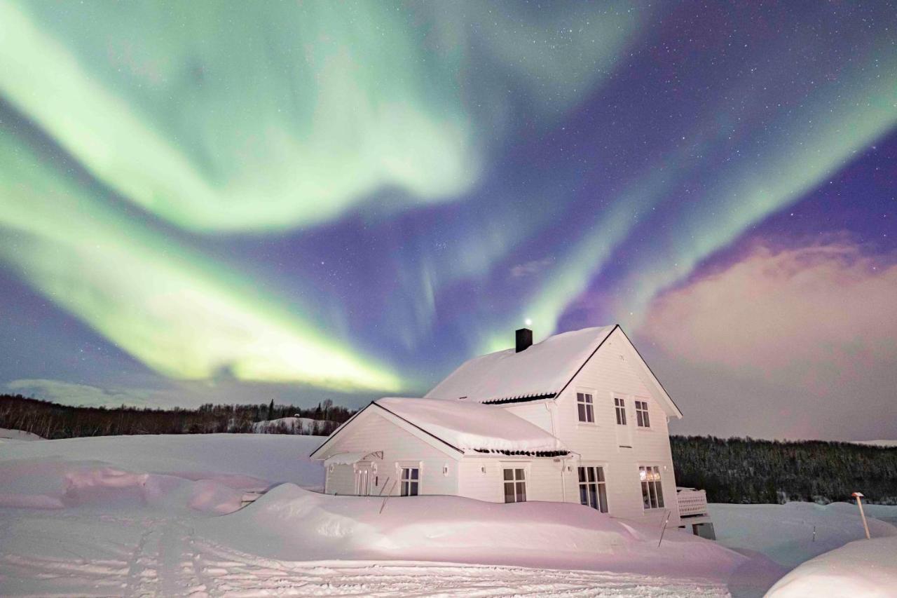 Aurora Borealis Observatory Silsand Exterior photo
