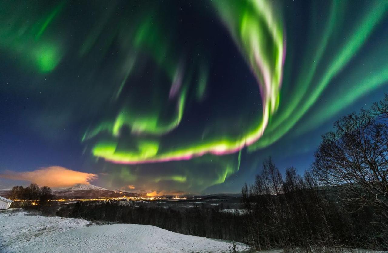 Aurora Borealis Observatory Silsand Exterior photo